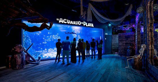 Zona Arqueológica Playa del Carmen